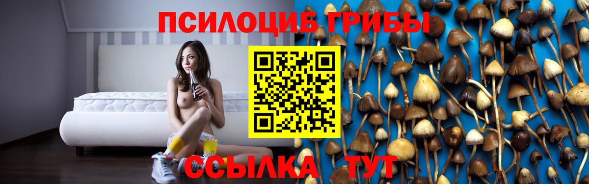 Нурлат  Галлюциногенные грибы прущие грибы  Псилоцибиновые грибы прущие грибы  Вход с VPN 